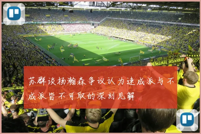 苏群谈杨瀚森争议认为速成派与不成派皆不可取的深刻见解