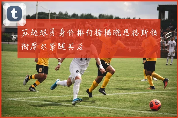 苏超球员身价排行榜揭晓恩格斯领衔摩尔紧随其后