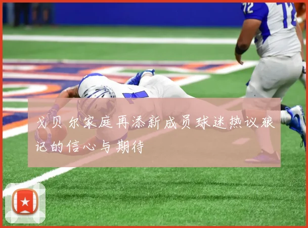 戈贝尔家庭再添新成员球迷热议狼记的信心与期待