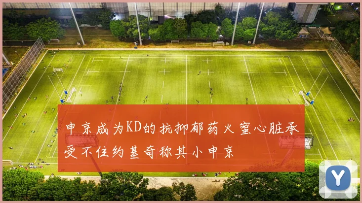 申京成为KD的抗抑郁药火蜜心脏承受不住约基奇称其小申京