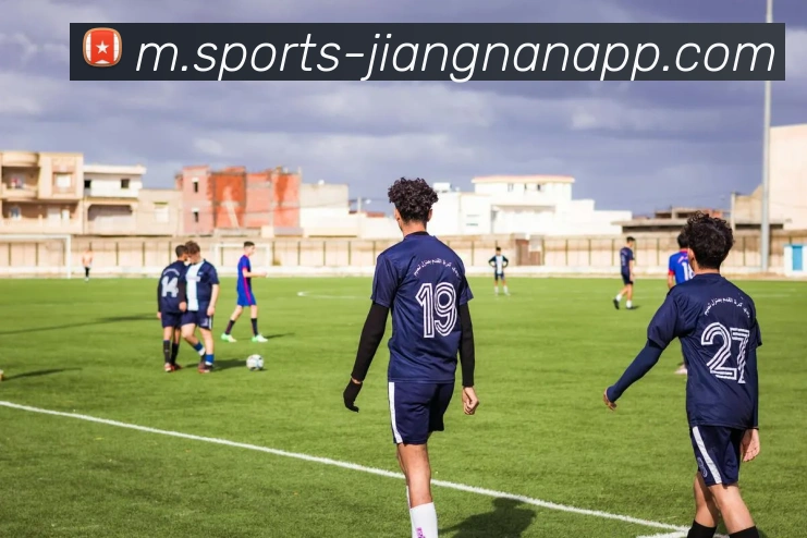 江南体育平台生态图